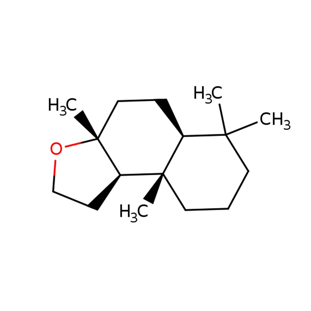 Cosa sono le fragranze molecolari?